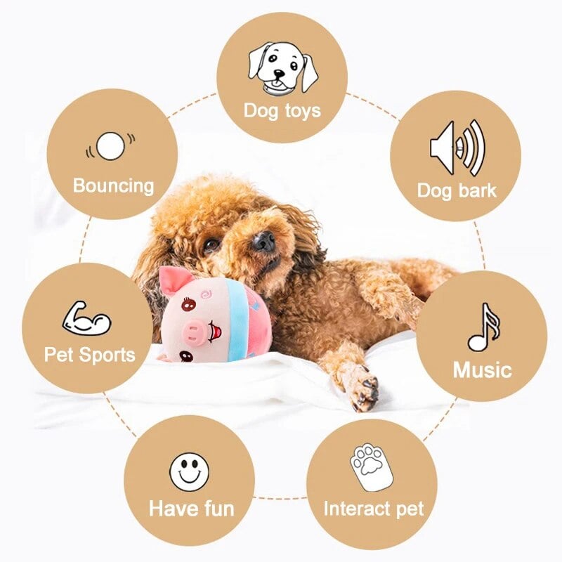 🐶Pelúcia para animais de estimação que se movem ativamente