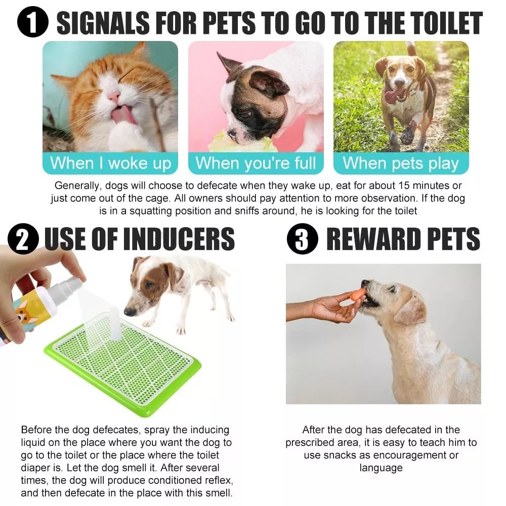 Spray de treinamento para animais de estimação