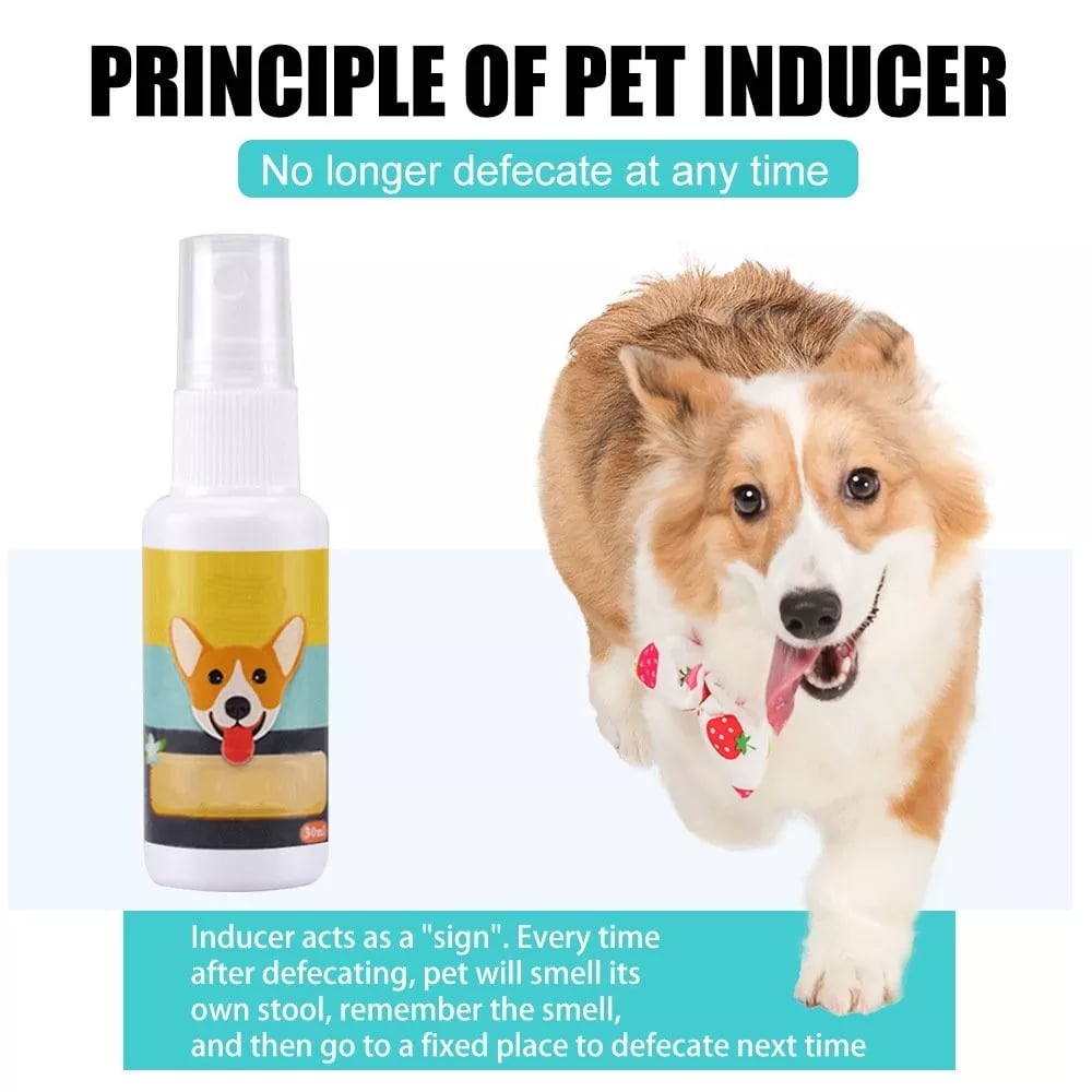 Spray de treinamento para animais de estimação