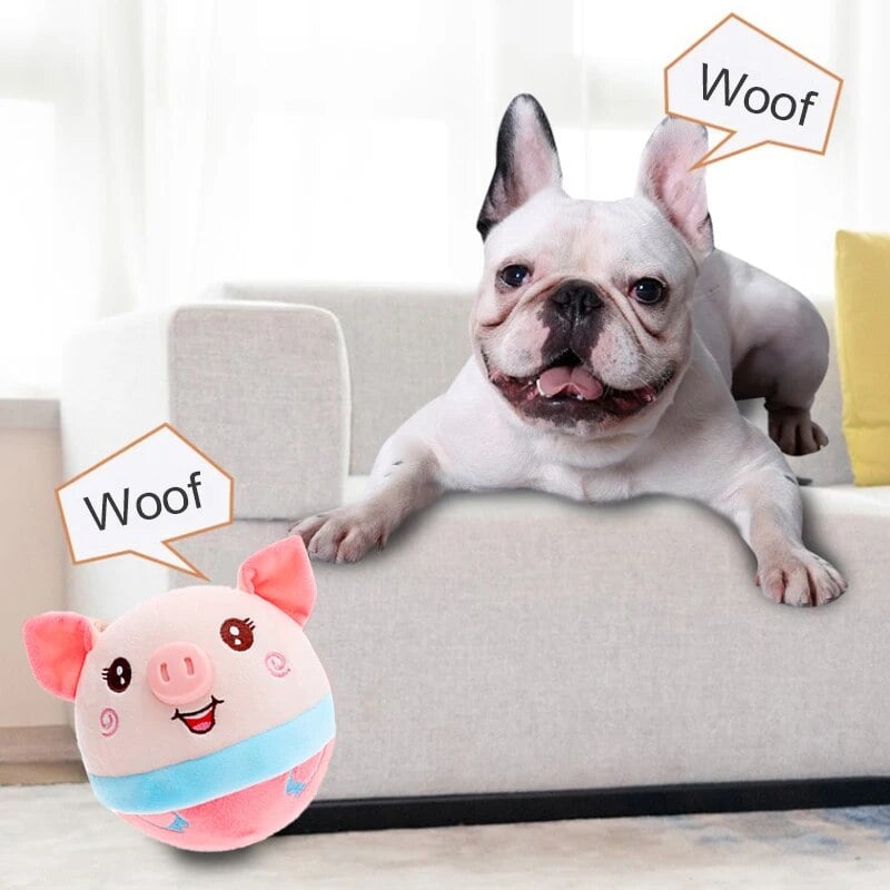 🐶Pelúcia para animais de estimação que se movem ativamente
