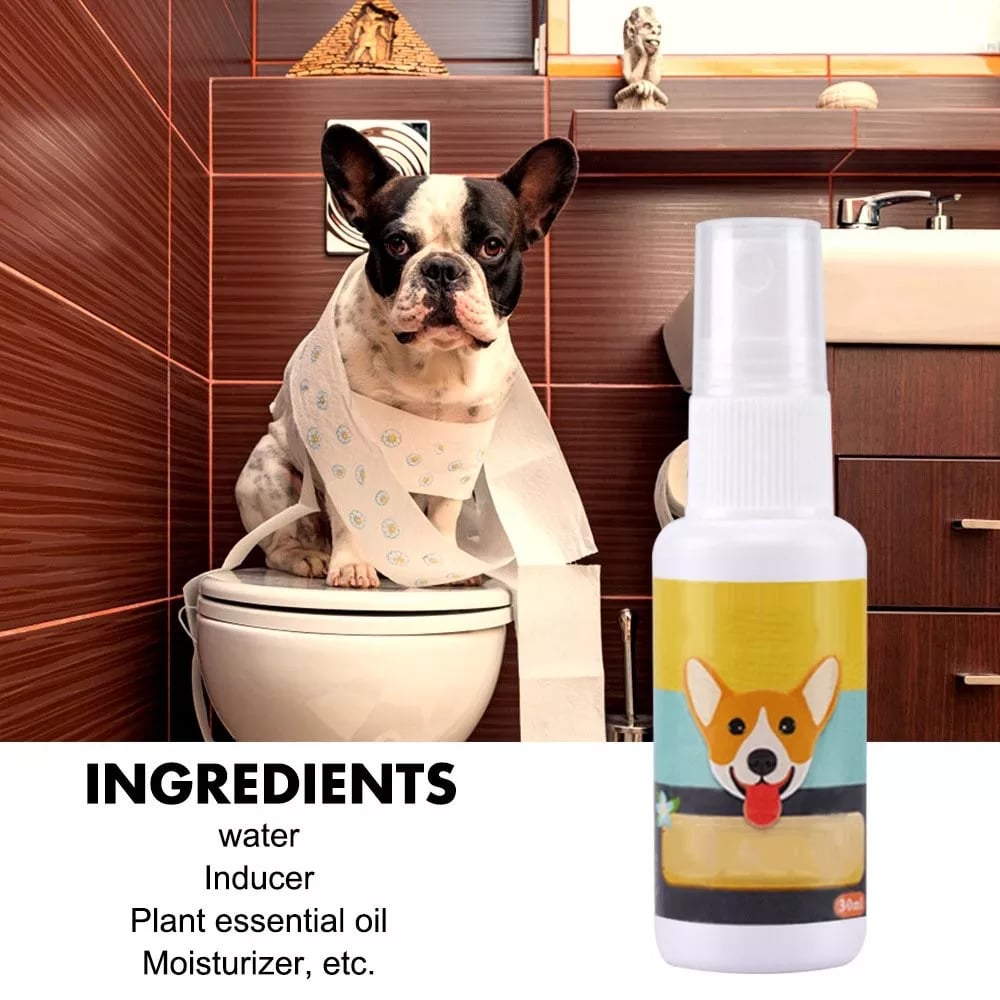 Spray de treinamento para animais de estimação