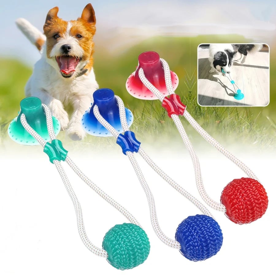 Brinquedo multifuncional para morder molares de animais de estimação