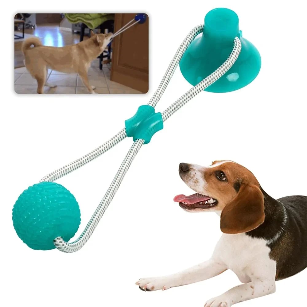 Brinquedo multifuncional para morder molares de animais de estimação