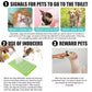 Spray de treinamento para animais de estimação