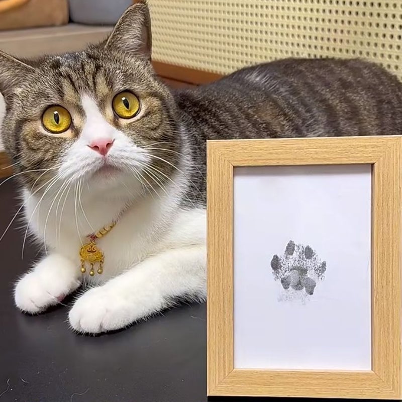 Moldura Memorial para Pegadas de Patas de Animais de Estimação Faça Você Mesmo