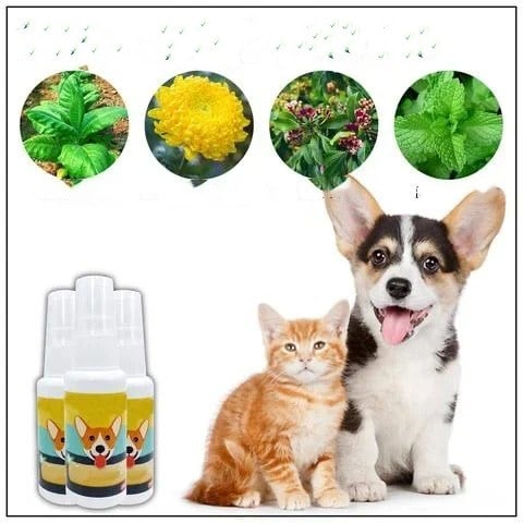 Spray de treinamento para animais de estimação