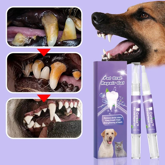 🌈 Gel reparador bucal para animais de estimação