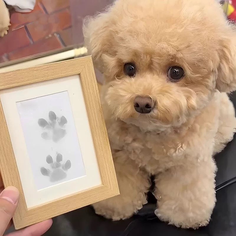 Moldura Memorial para Pegadas de Patas de Animais de Estimação Faça Você Mesmo