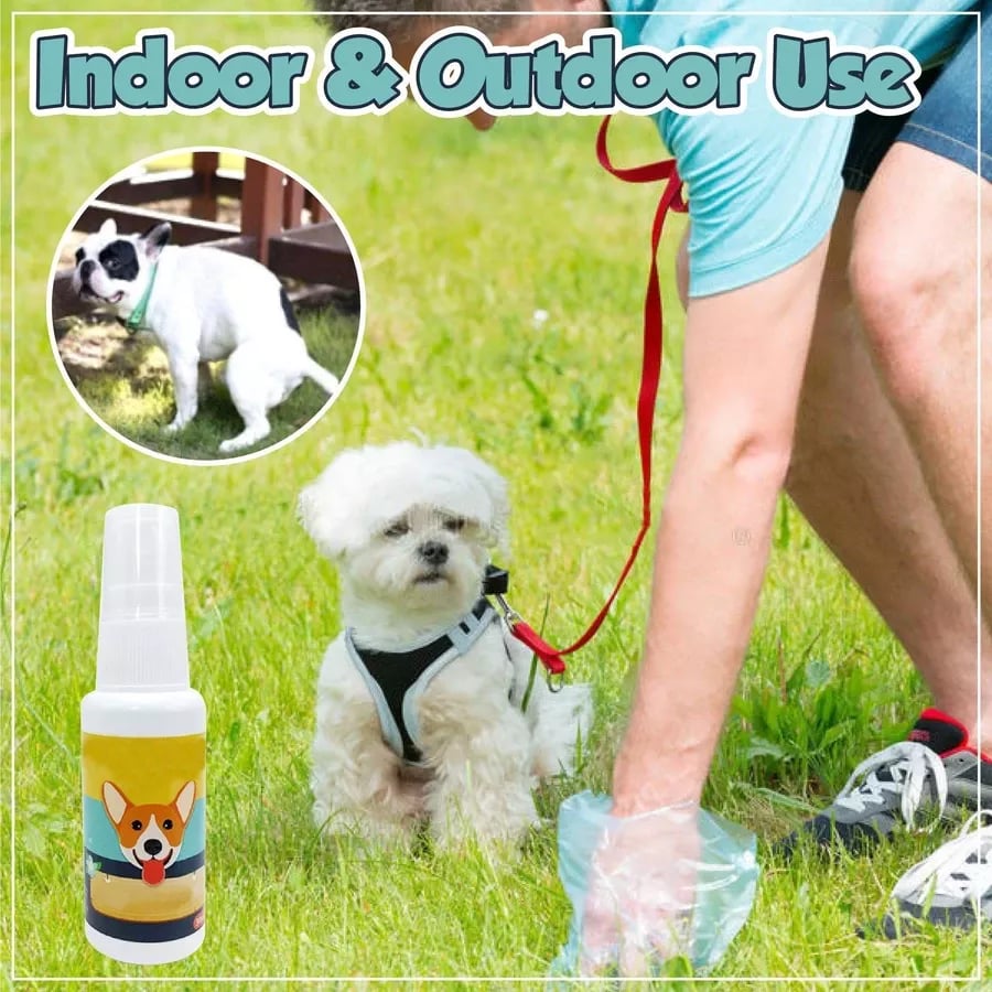 Spray de treinamento para animais de estimação