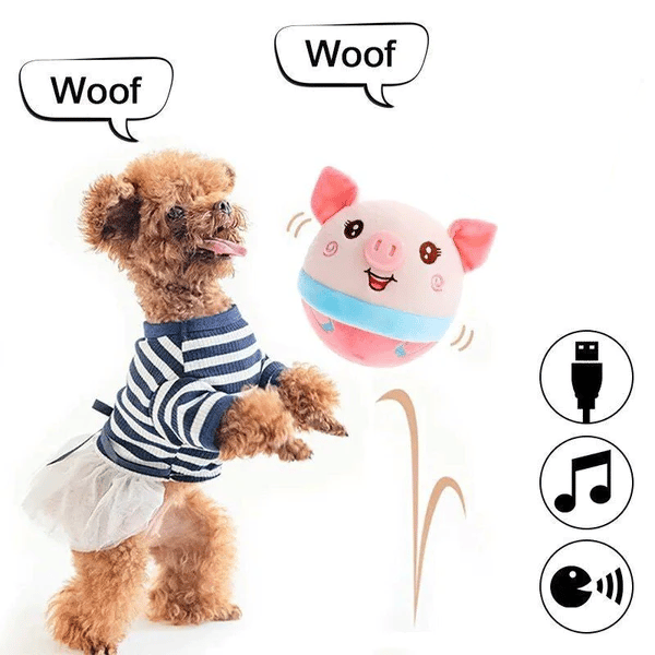 🐶Pelúcia para animais de estimação que se movem ativamente