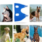 Rede para tosa de animais de estimação