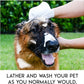 🔥Rinse-Free Dog Shampoo Mitts – Hypoallergenic Pet Bath Wipes, 6 Packs