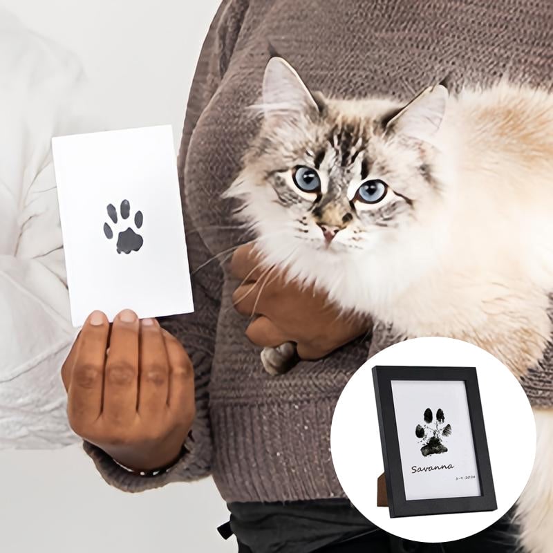 Moldura Memorial para Pegadas de Patas de Animais de Estimação Faça Você Mesmo