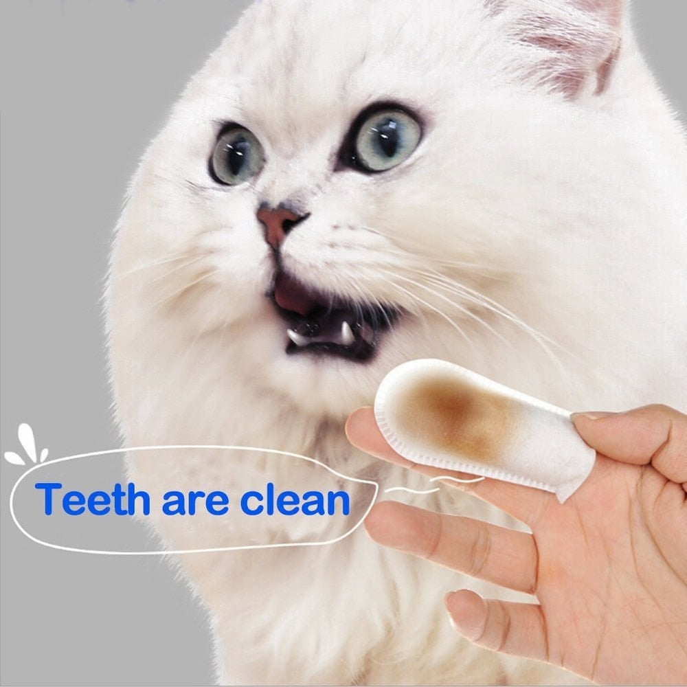 Lenços umedecidos para limpeza de bactérias maculares em dentes de animais de estimação